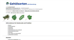 Desktop Screenshot of gehoelze.ch